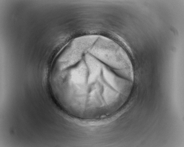 X0000116640018201001041040