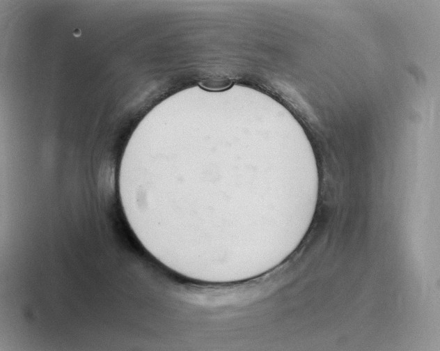 X0000116640021201001041039