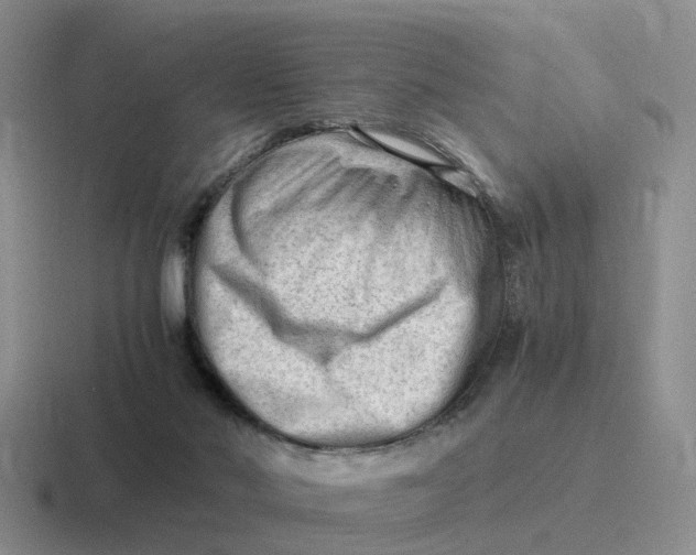 X0000116640022201001041039