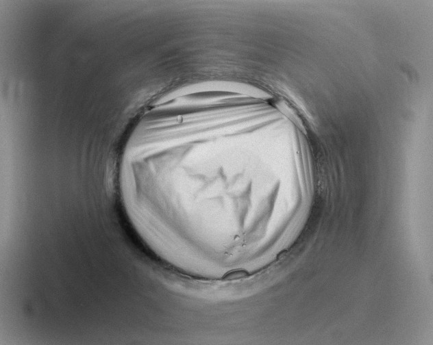 X0000116640023201001041039