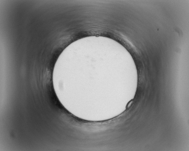 X0000116640025201001041039