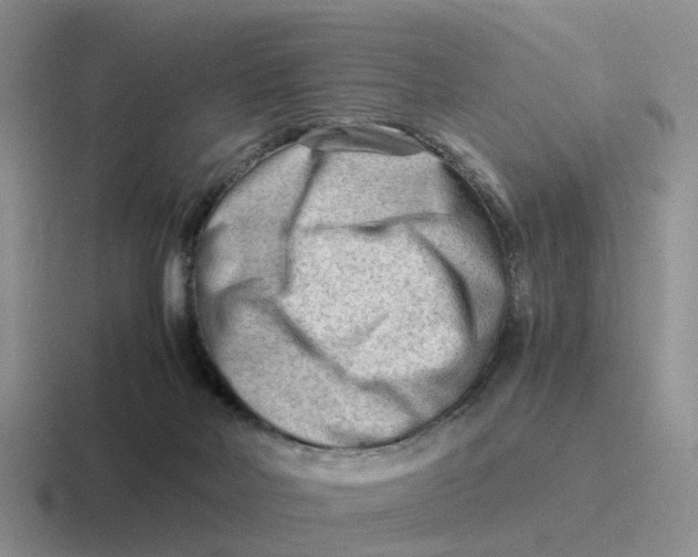 X0000116640026201001041039