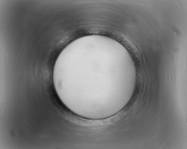 X0000116640031201001041039