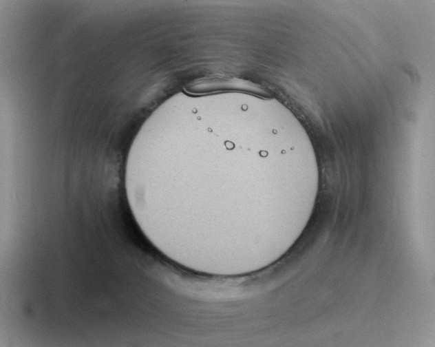 X0000116640032201001041039