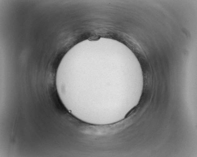 X0000116640033201001041039