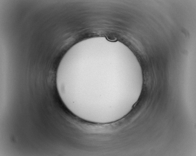 X0000116640036201001041039