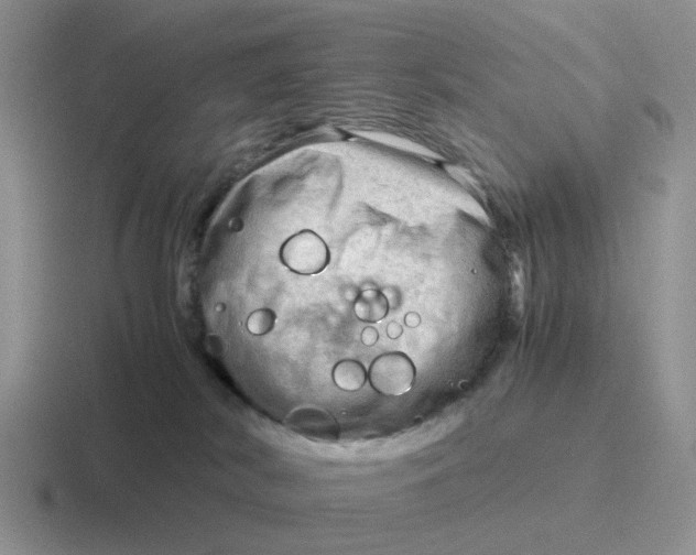 X0000116640038201001041039