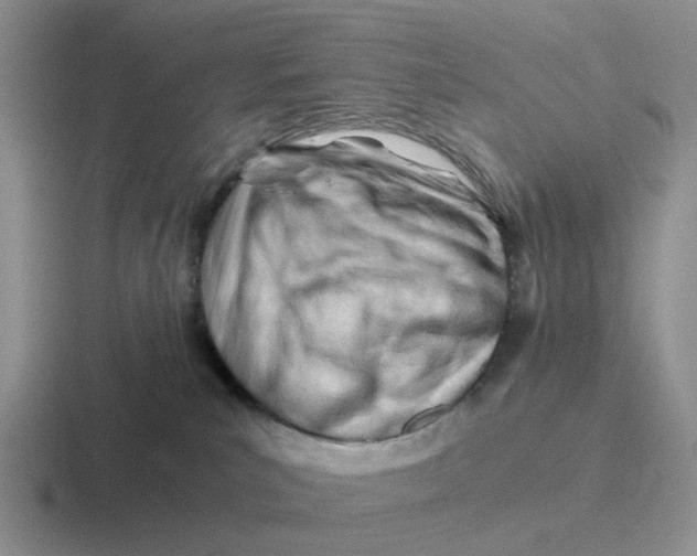 X0000116640039201001041039