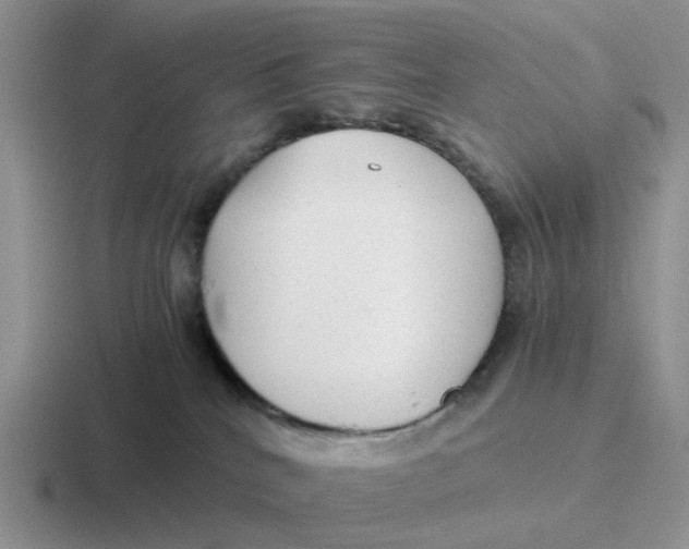 X0000116640040201001041039