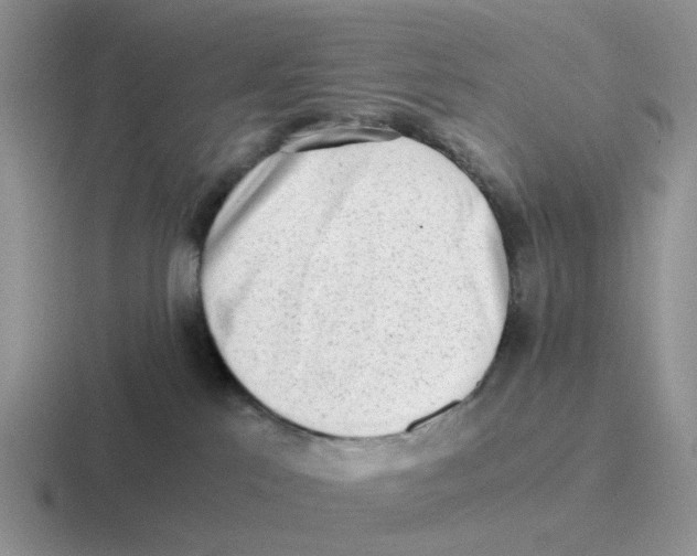 X0000116640041201001041039