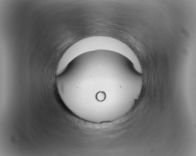 X0000116640043201001041039