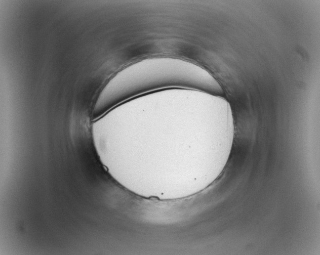 X0000116640045201001041039