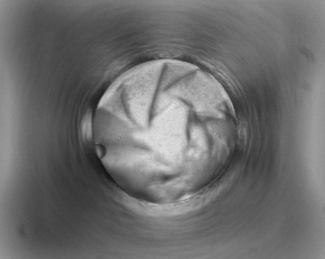 X0000116640046201001041039