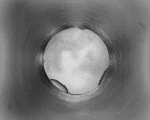 X0000116640047201001041039