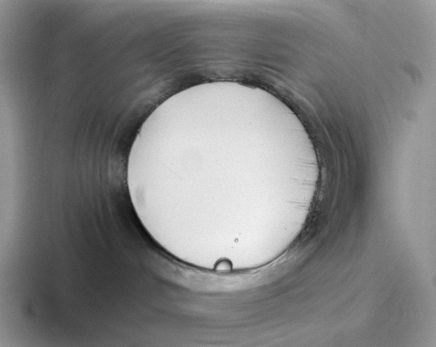 X0000116640048201001041039