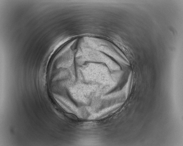 X0000116640050201001041039