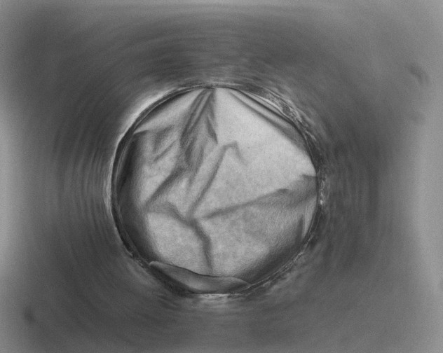 X0000116640052201001041039