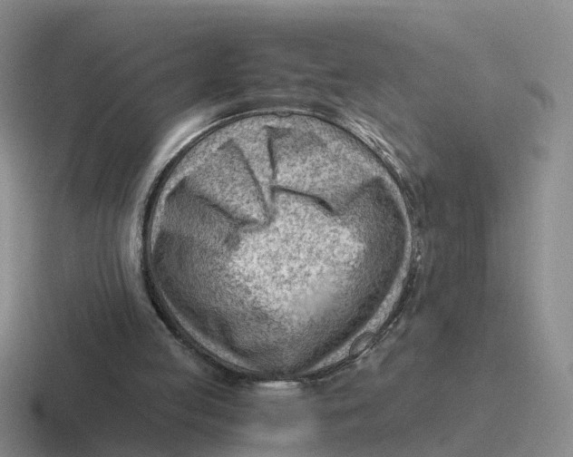 X0000116640053201001041039