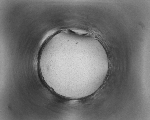 X0000116640054201001041039