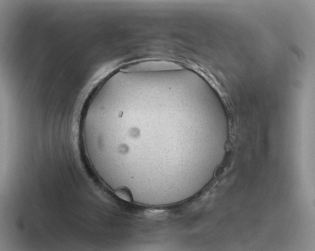 X0000116640055201001041039