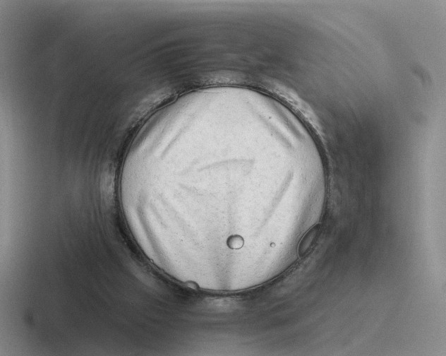 X0000116640057201001041039