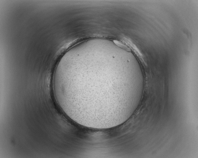 X0000116640058201001041039