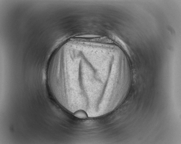 X0000116640059201001041039