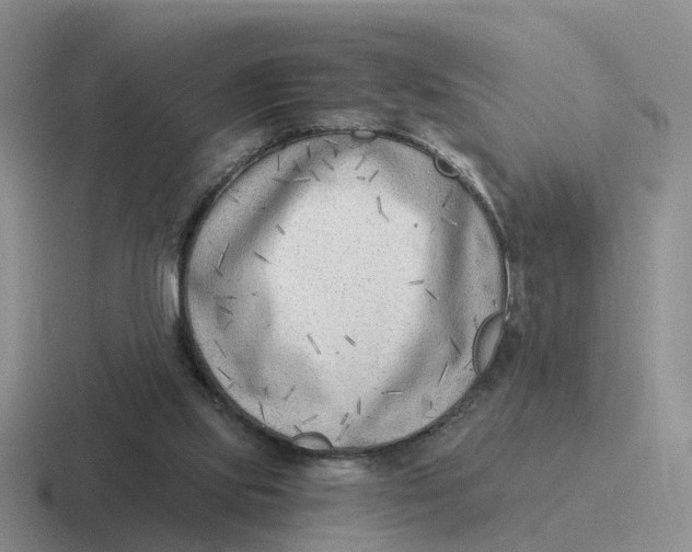 X0000116640061201001041039