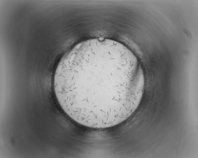 X0000116640065201001041039