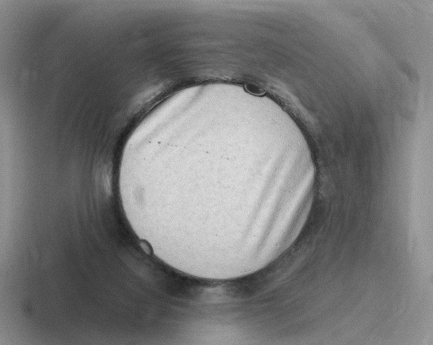 X0000116640068201001041039