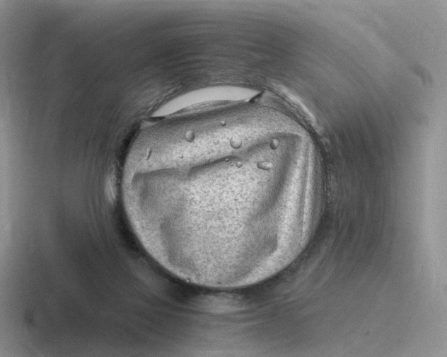 X0000116640069201001041039