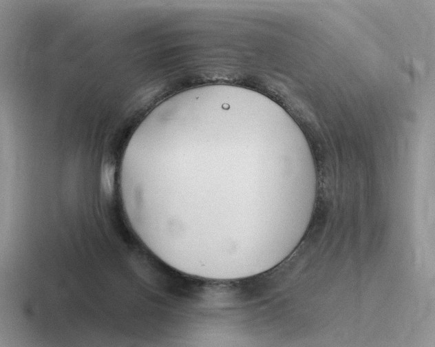 X0000116640070201001041039