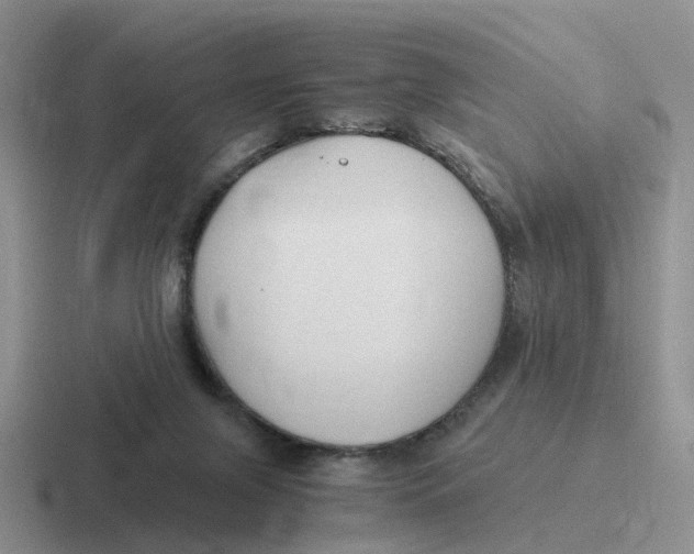 X0000116640071201001041039