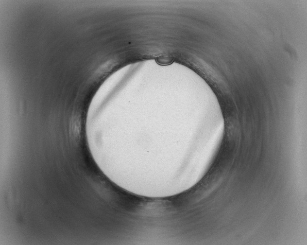 X0000116640072201001041039