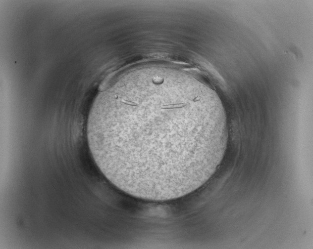 X0000116640073201001041039