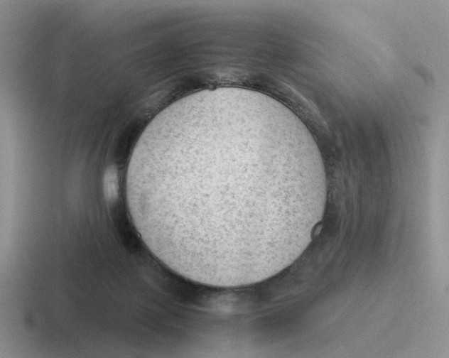 X0000116640075201001041039