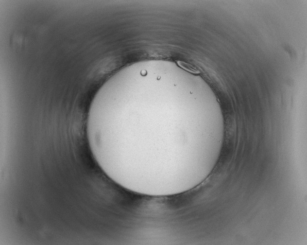 X0000116640078201001041039