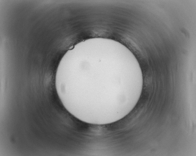 X0000116640079201001041039