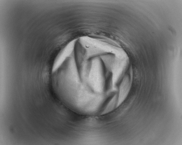 X0000116640080201001041039