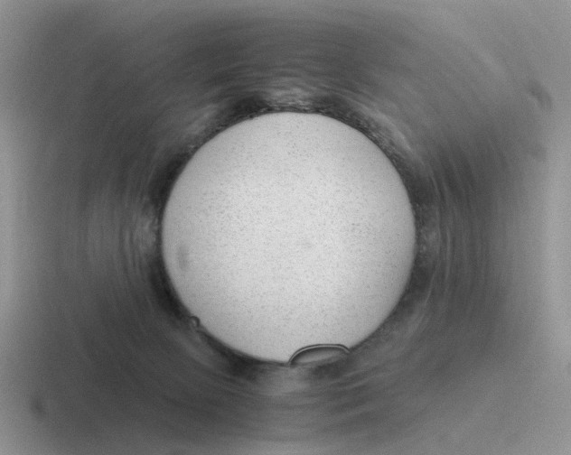 X0000116640081201001041039