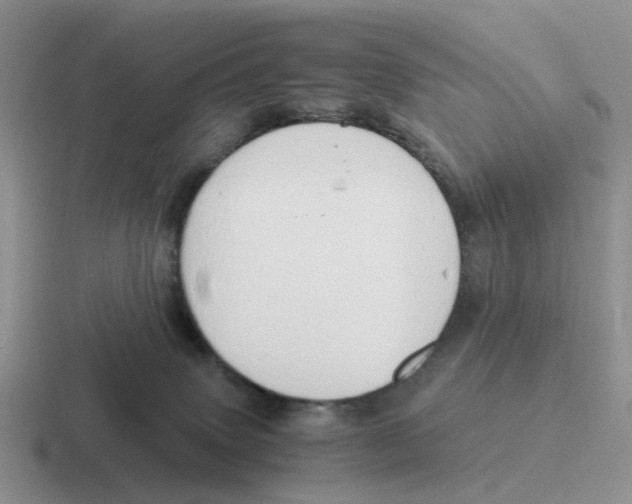 X0000116640083201001041039