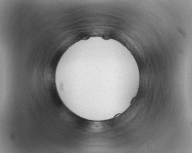 X0000116640091201001041039