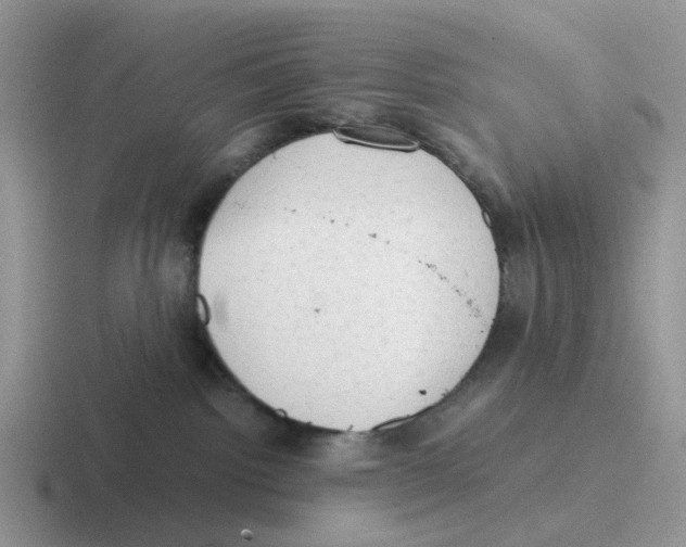 X0000116640092201001041039