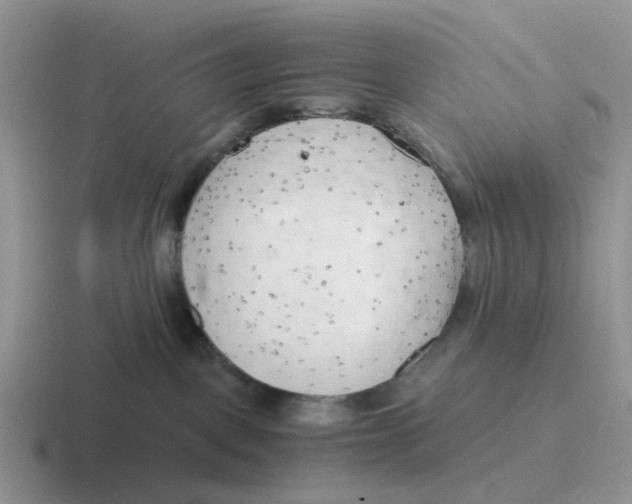 X0000116640093201001041039