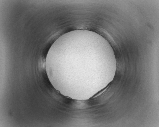 X0000116640095201001041039