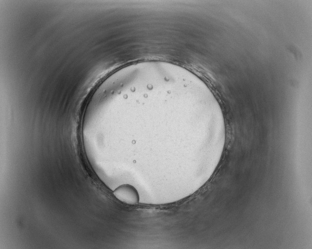 X0000116640098201001041039