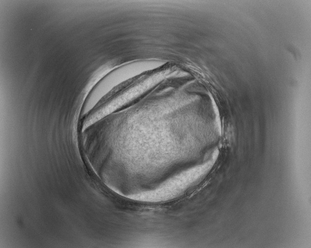 X0000116640099201001041039