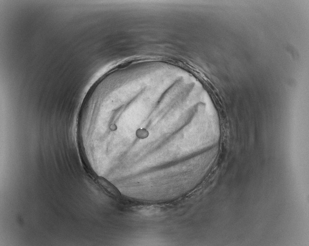 X0000116640100201001041038