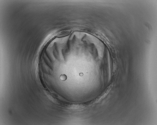 X0000116640101201001041038