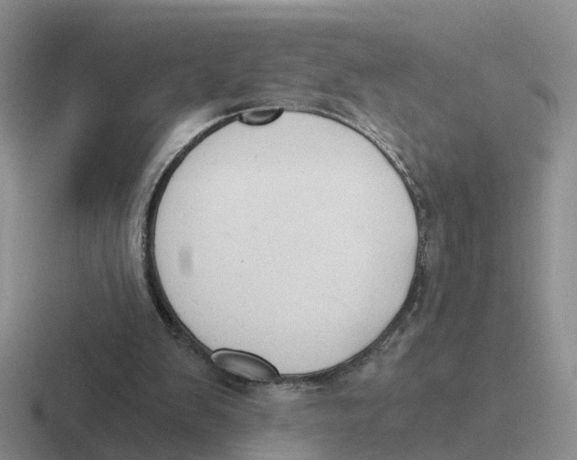 X0000116640103201001041038